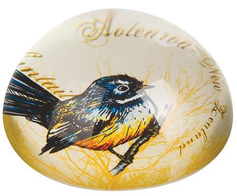 Paperweight Acrylic Fantail Large