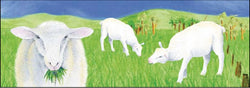 Bookmark Animated Sheep