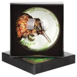 Pen Holder Acrylic Kiwi