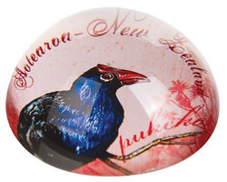 Paperweight Acrylic Pukeko Large