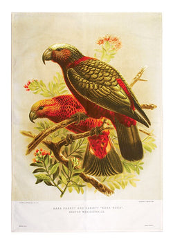 Kaka Parrot Prestige Tea Towel